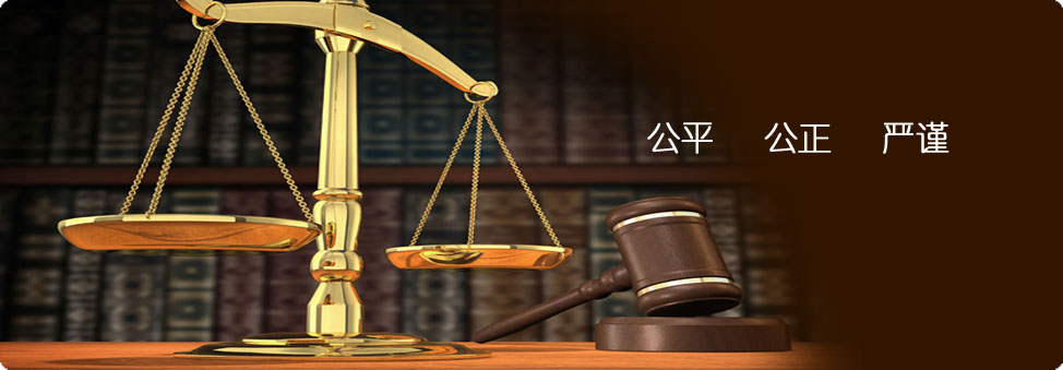 ���ɹ���